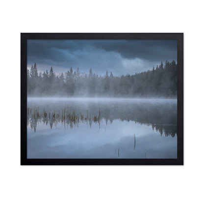 The Morning Fog