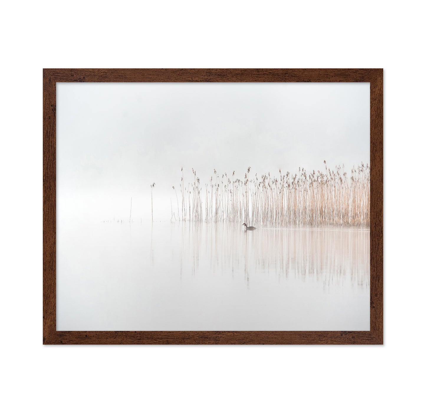 Days in the Fog