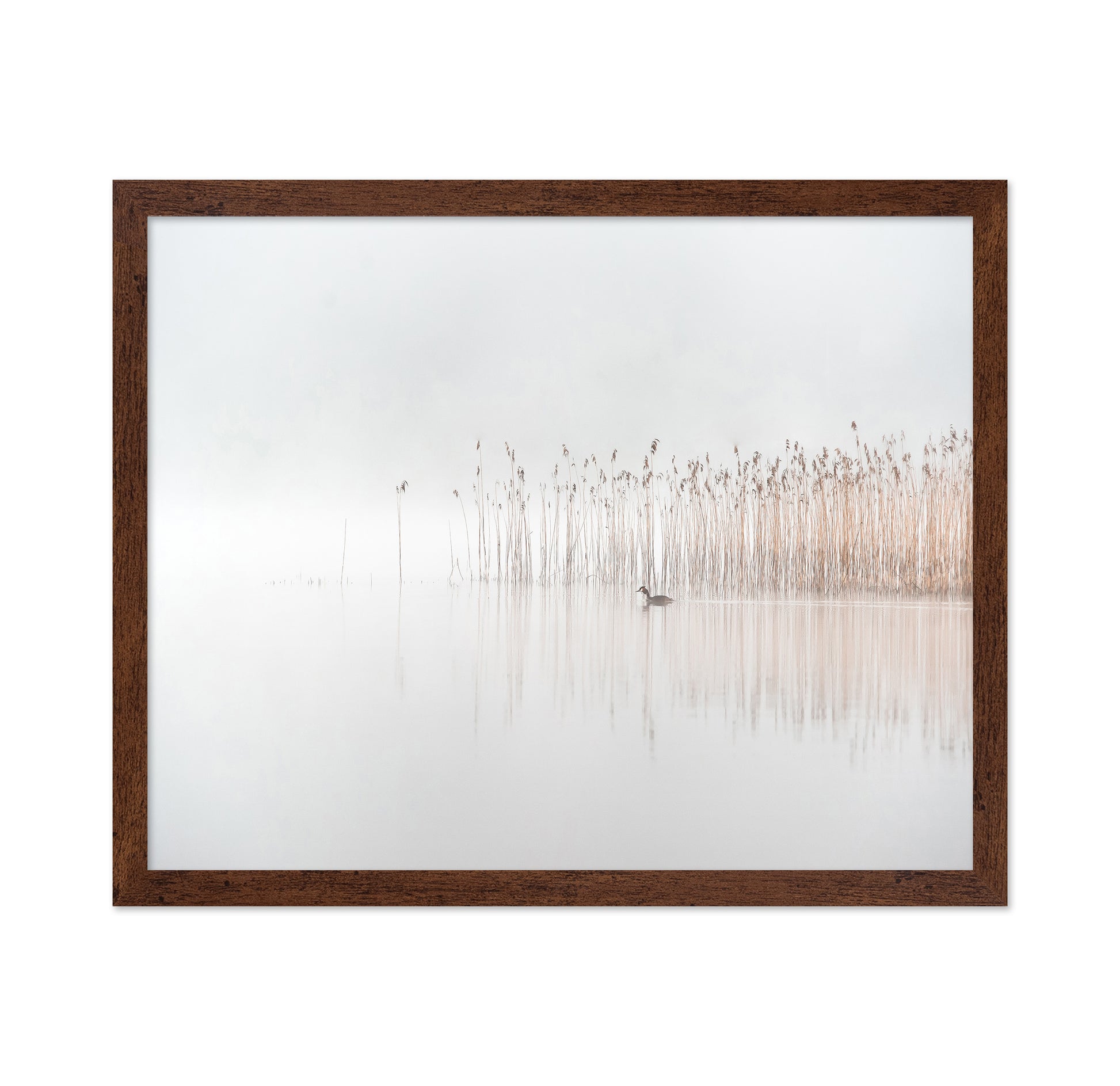 Days in the Fog