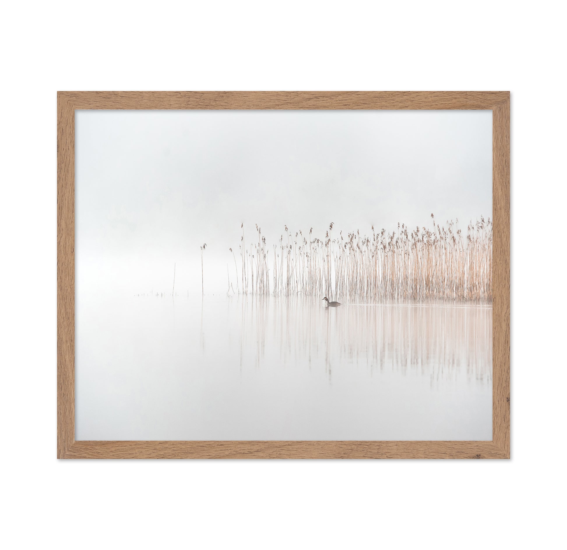 Days in the Fog