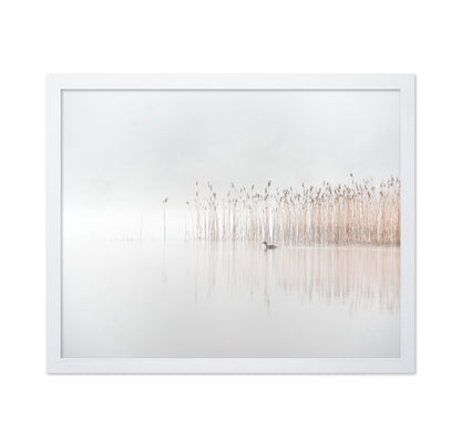 Days in the Fog
