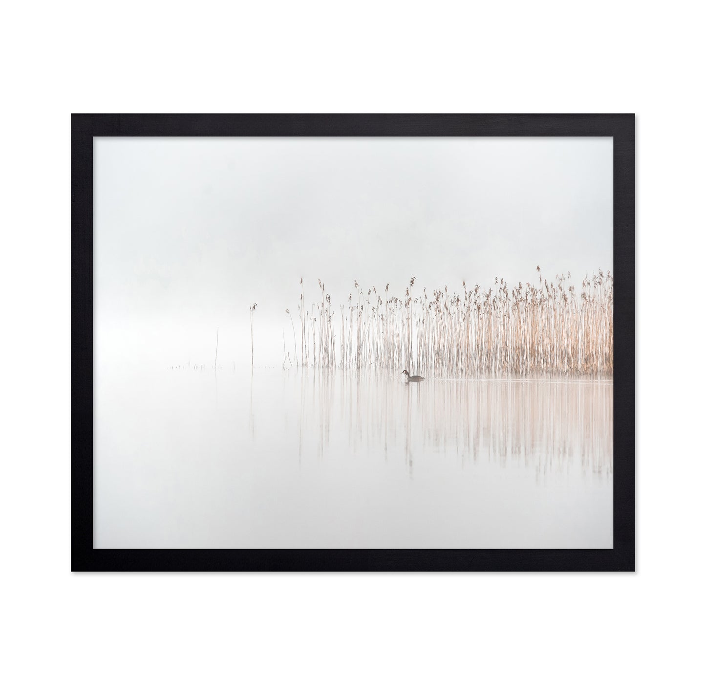 Days in the Fog