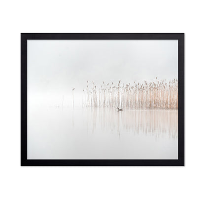 Days in the Fog