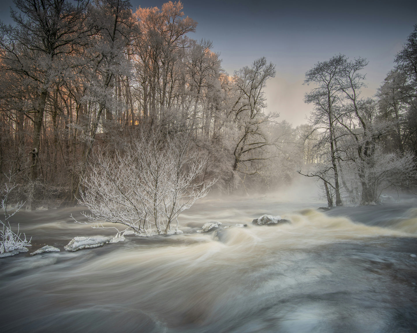Winter Morning