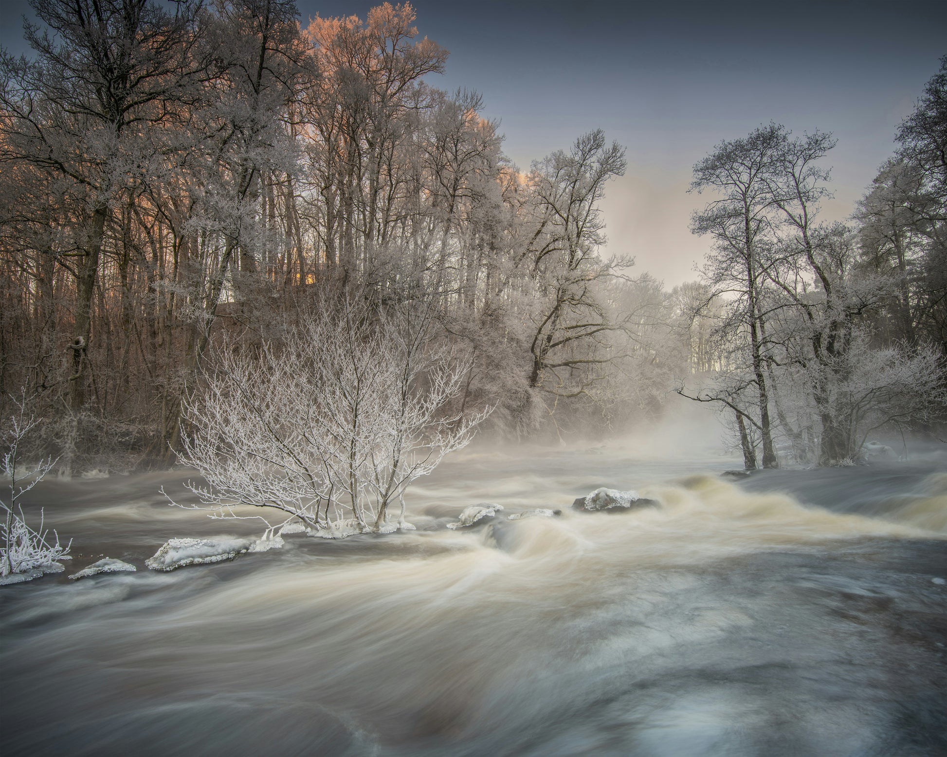 Winter Morning