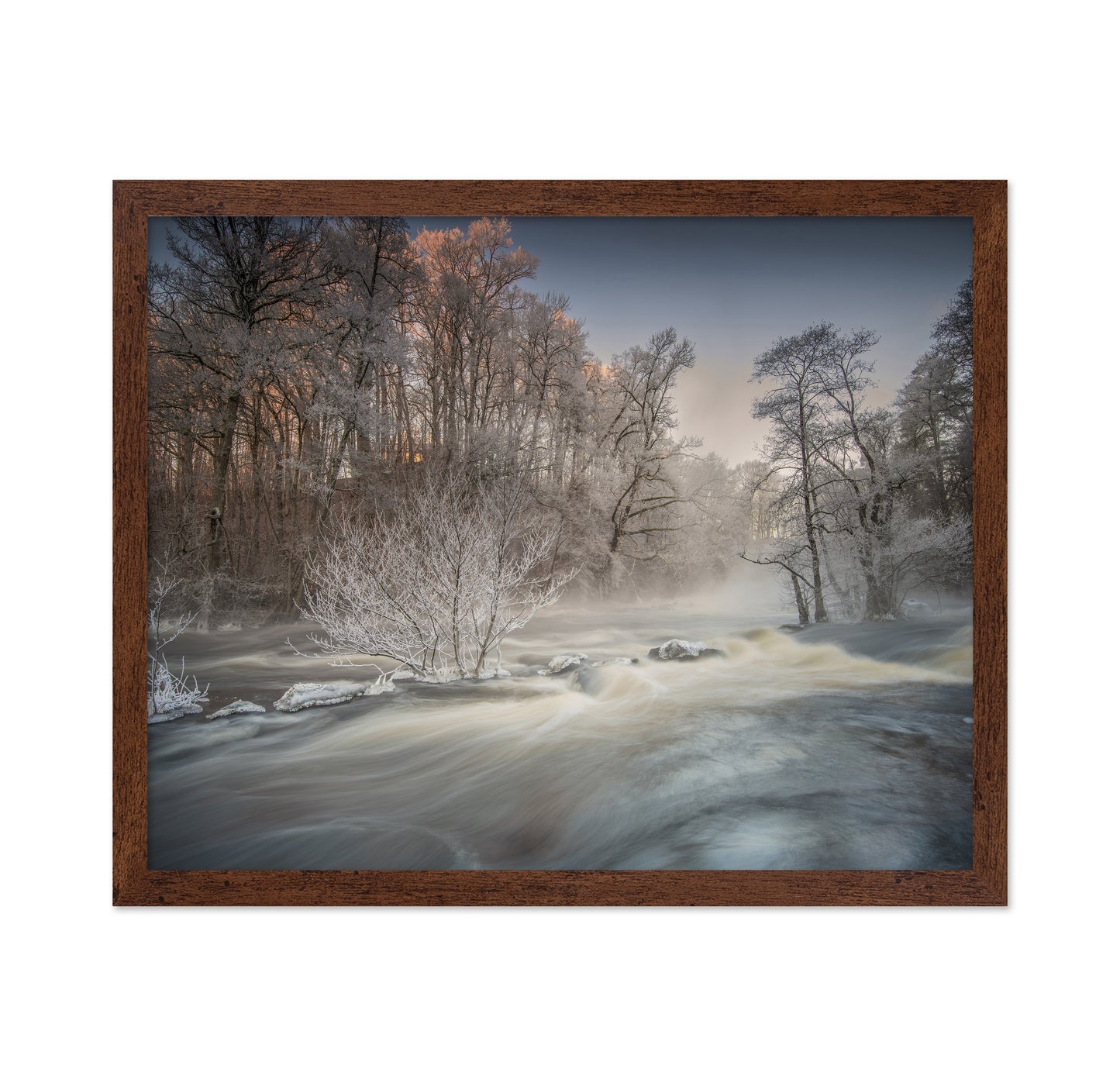 Winter Morning