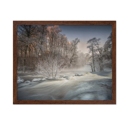 Winter Morning