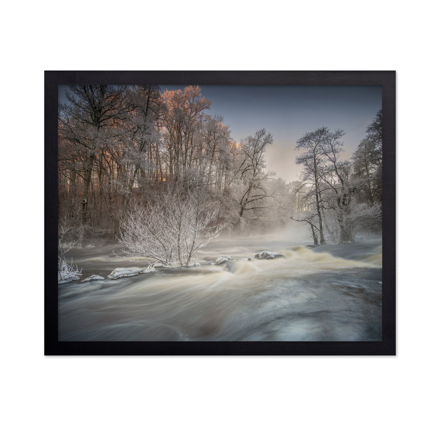 Winter Morning