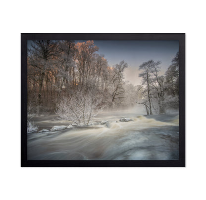 Winter Morning