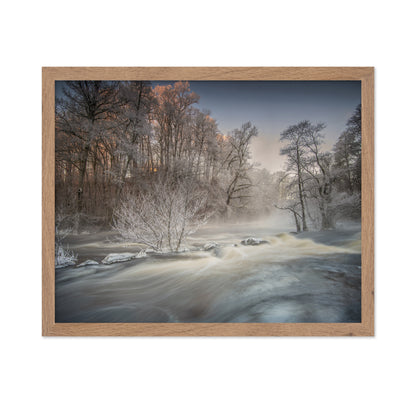 Winter Morning