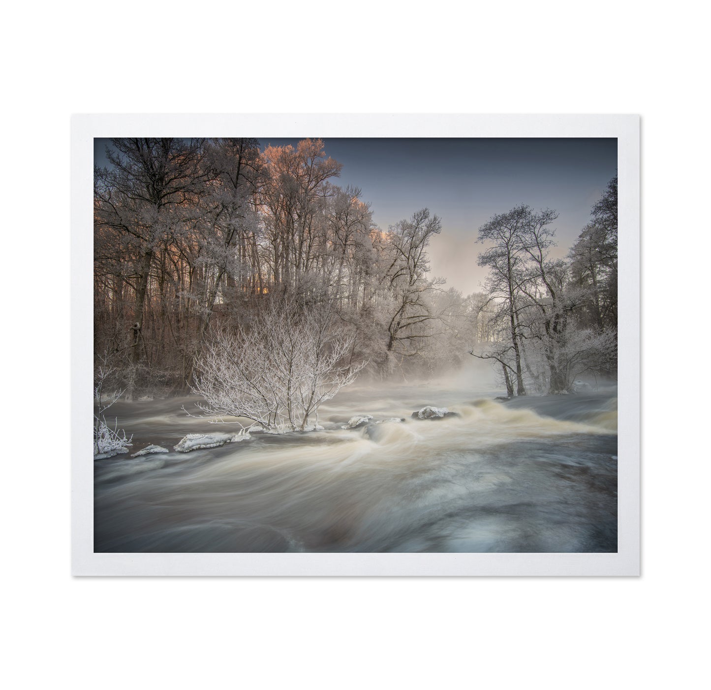 Winter Morning