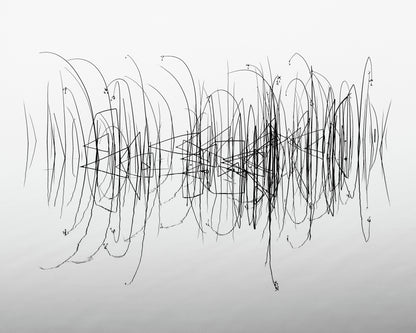 Graphic