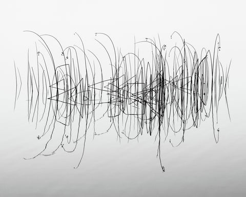 Graphic