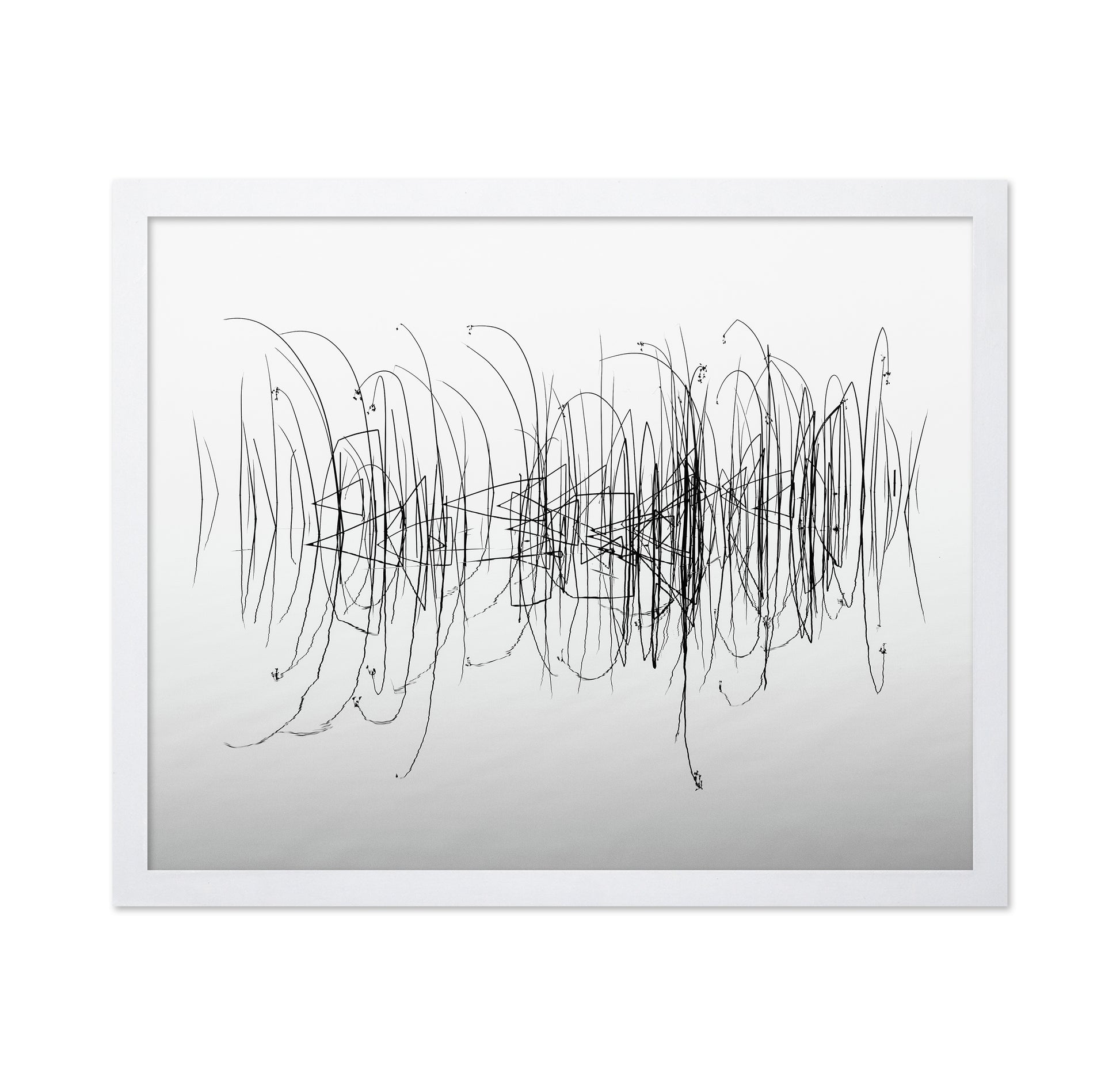 Graphic