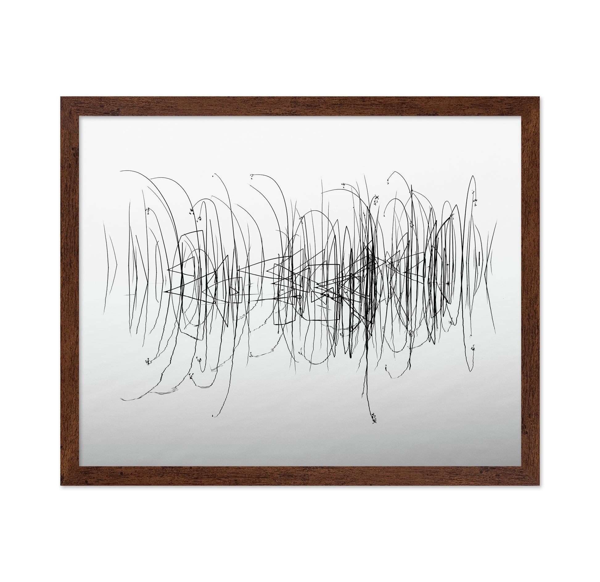 Graphic