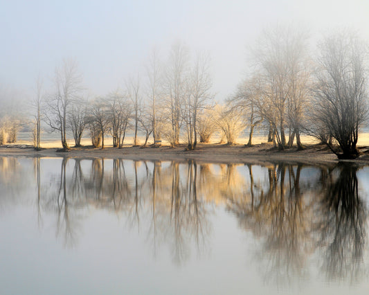 January Morning