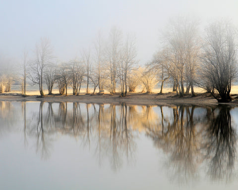 January Morning