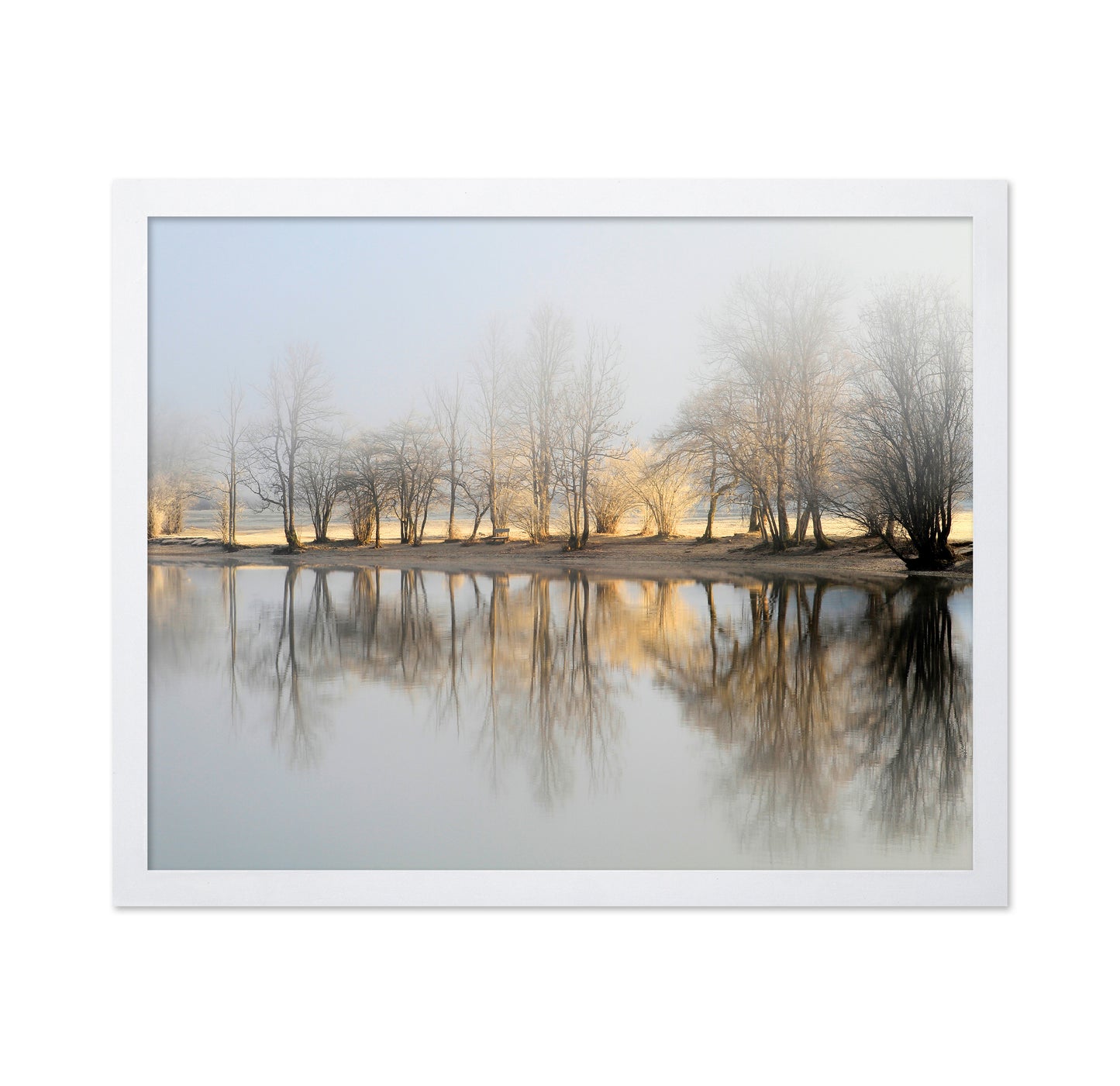 January Morning