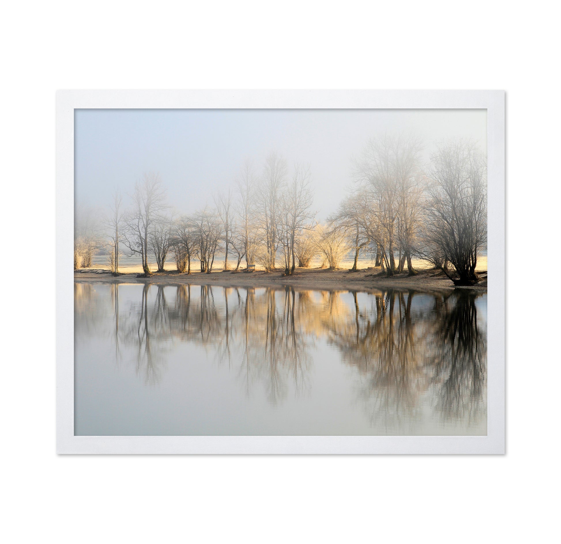 January Morning