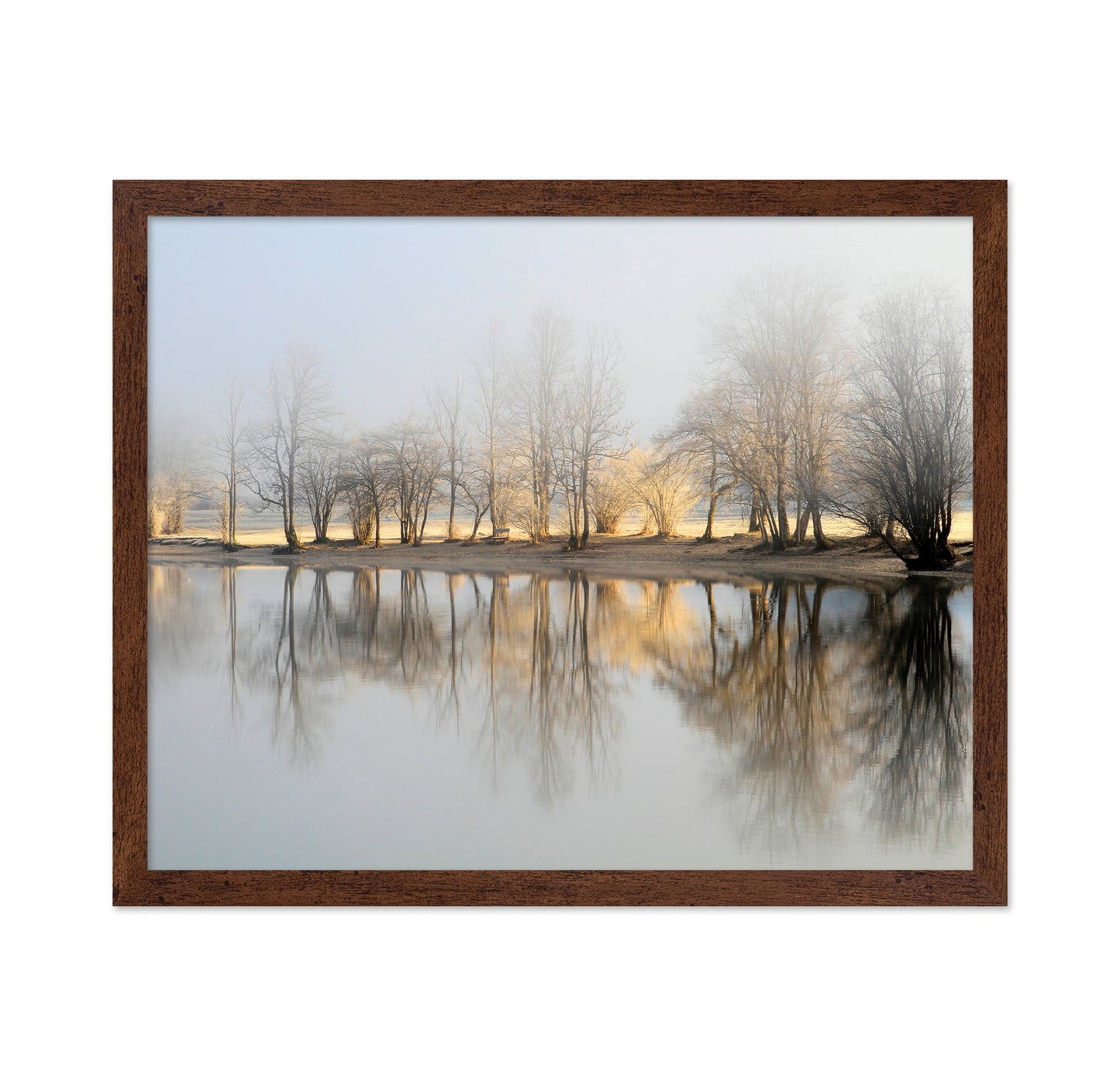January Morning