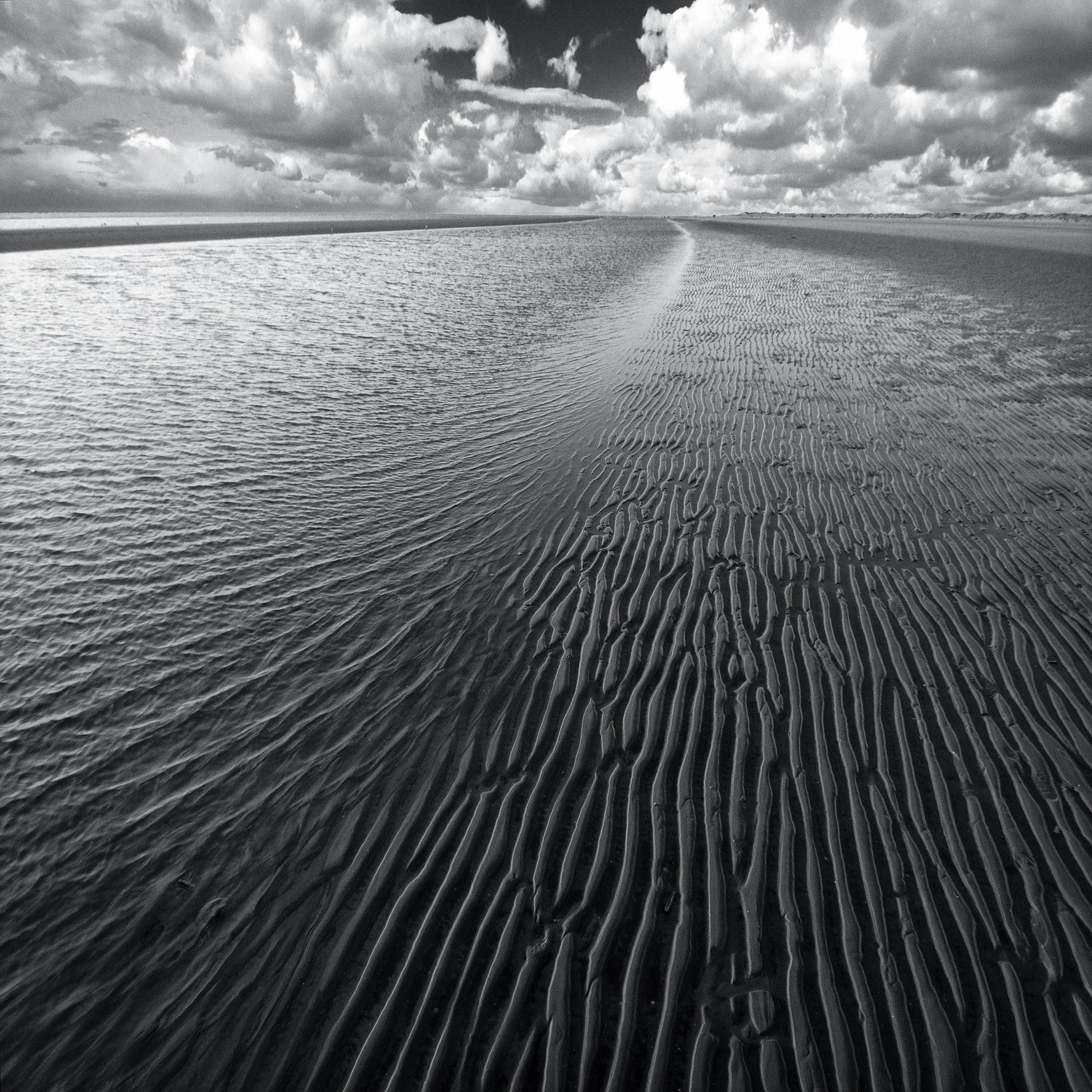 Ocean & Clouds