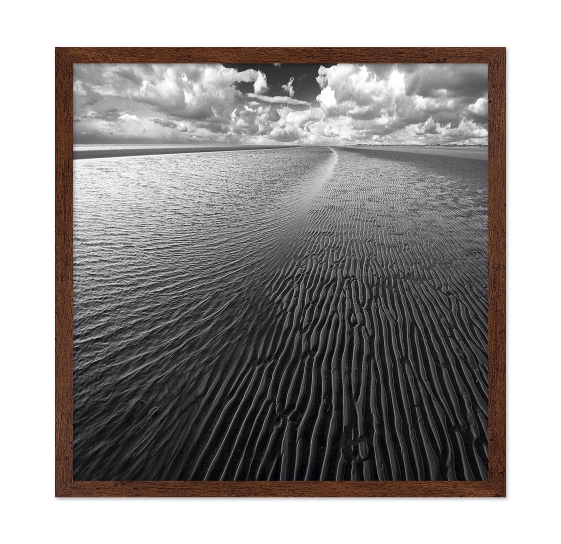 Ocean & Clouds