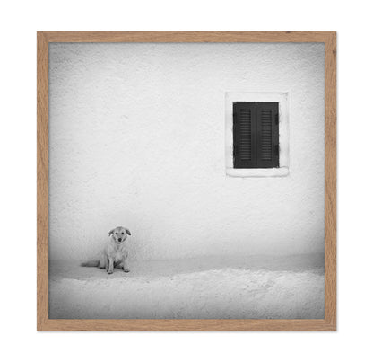 Lonely Dog