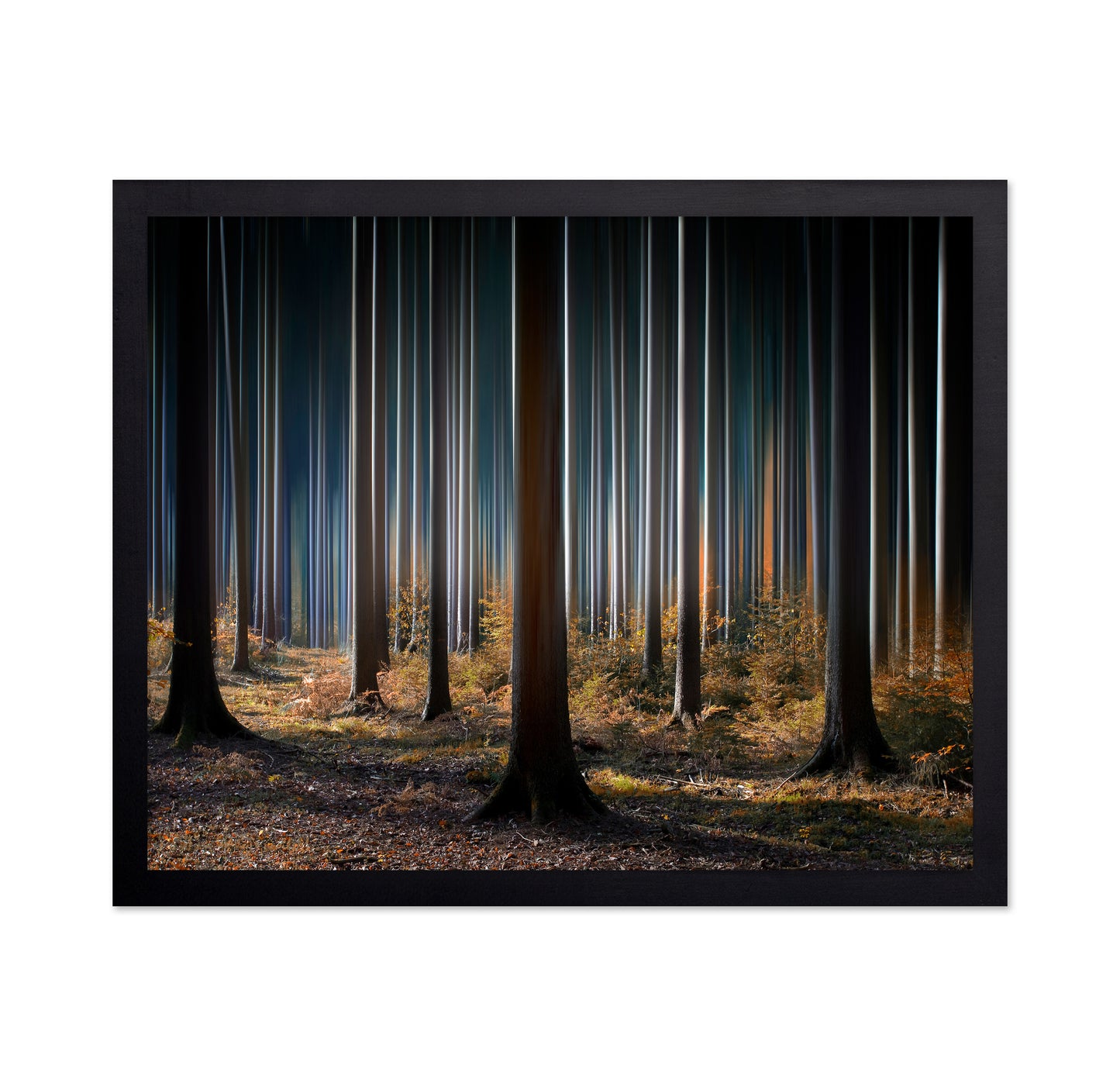 Mystic Wood