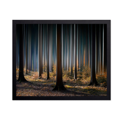Mystic Wood