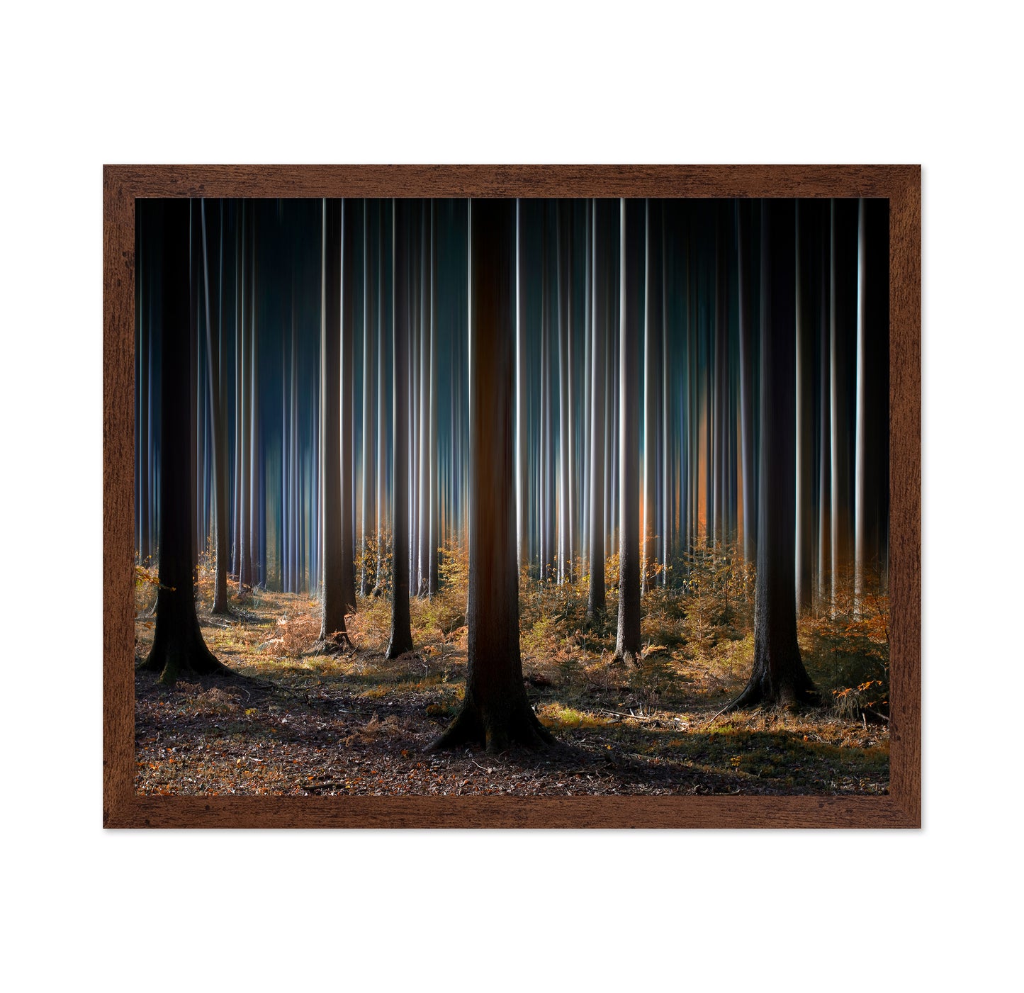 Mystic Wood