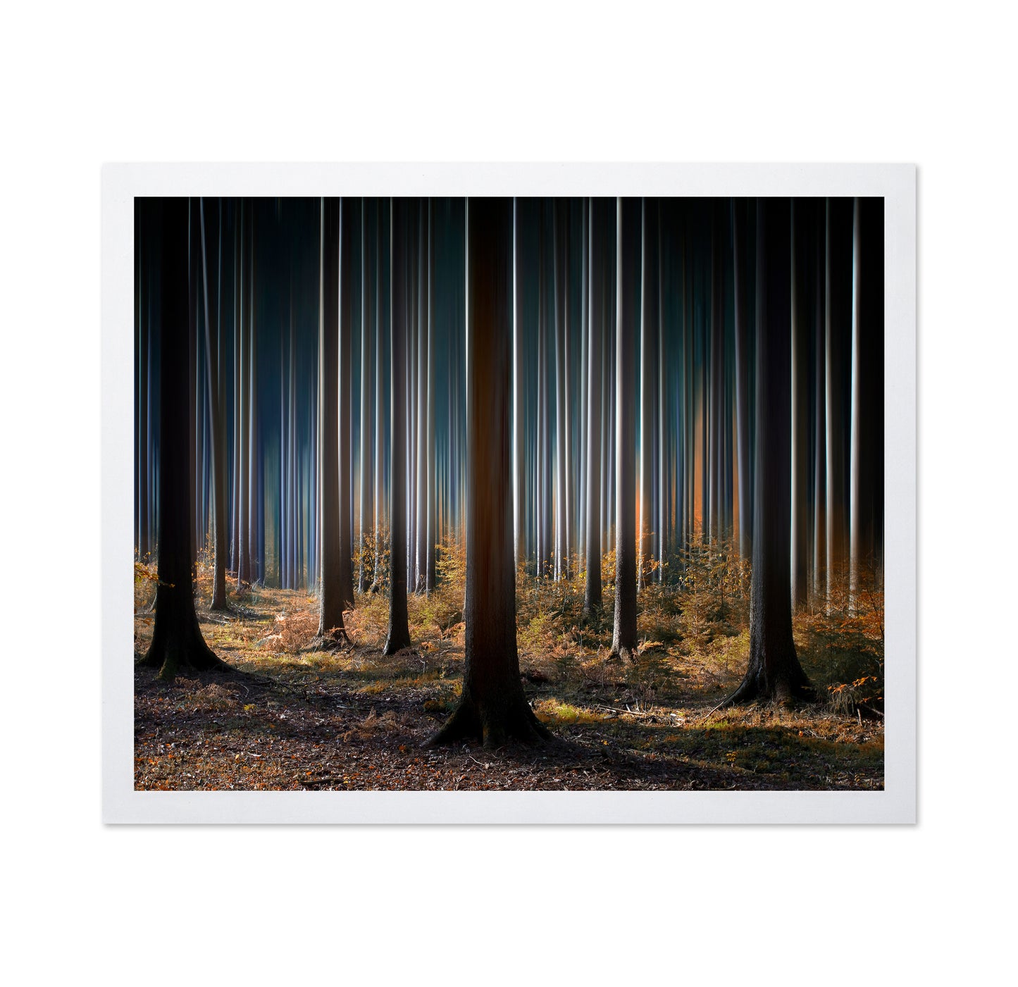 Mystic Wood