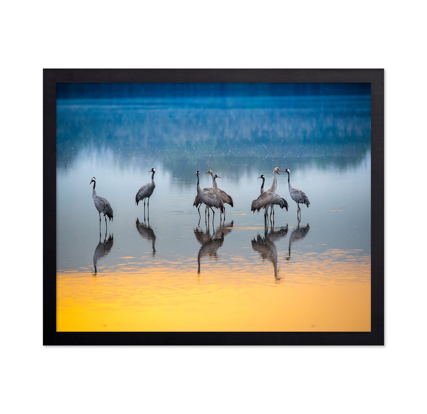 Serene Moments in Reflections