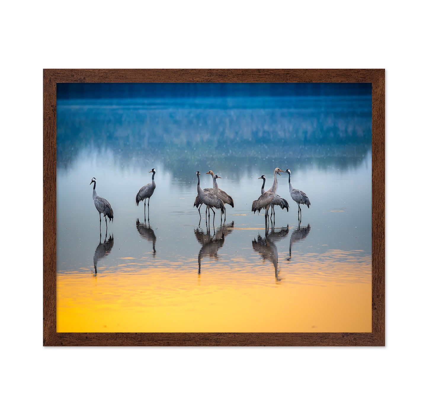 Serene Moments in Reflections