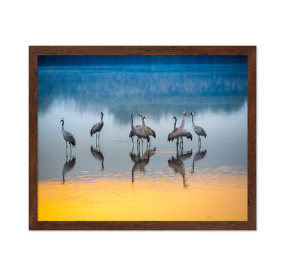 Serene Moments in Reflections