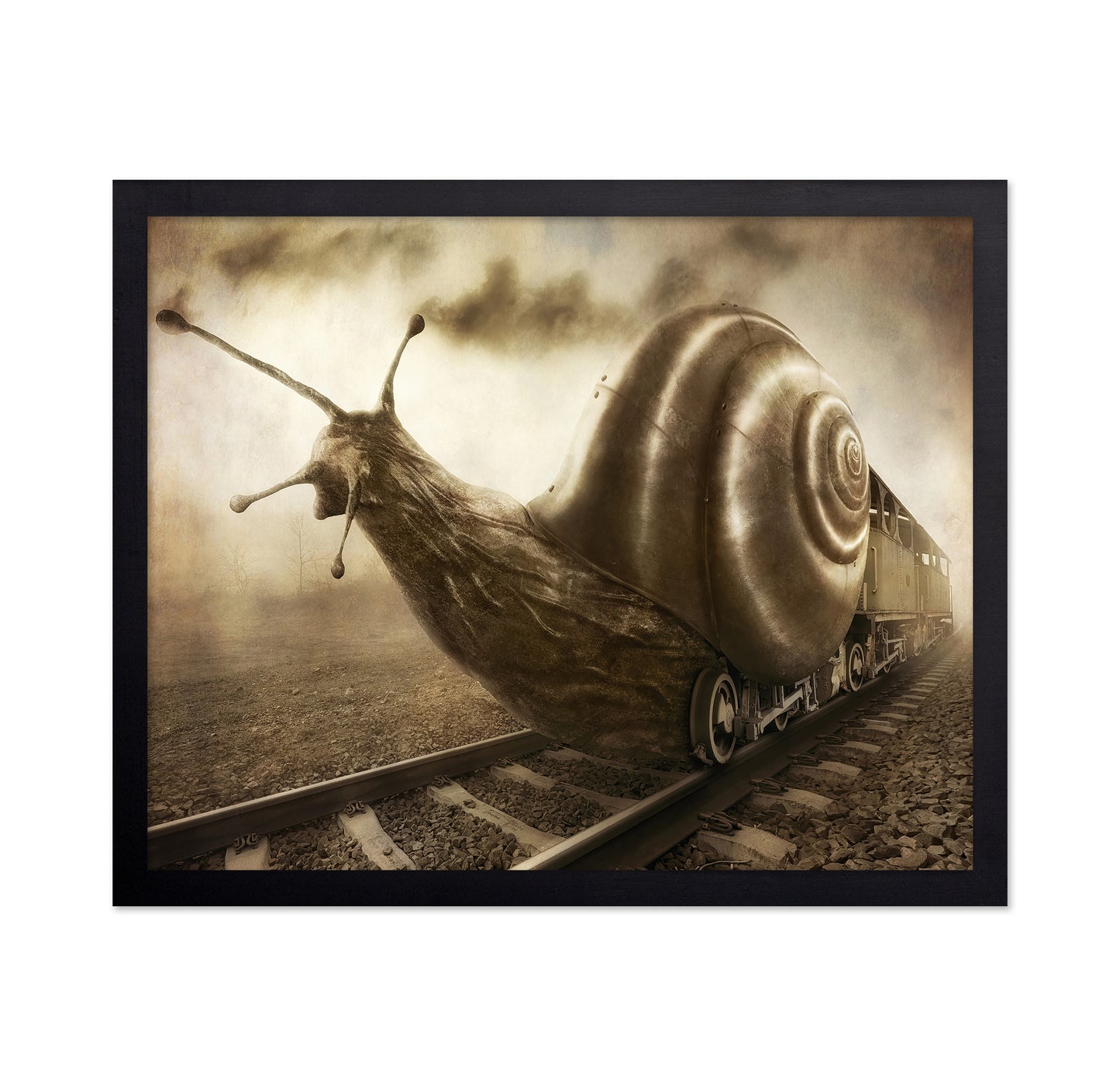 Snail Mail