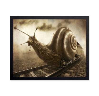 Snail Mail