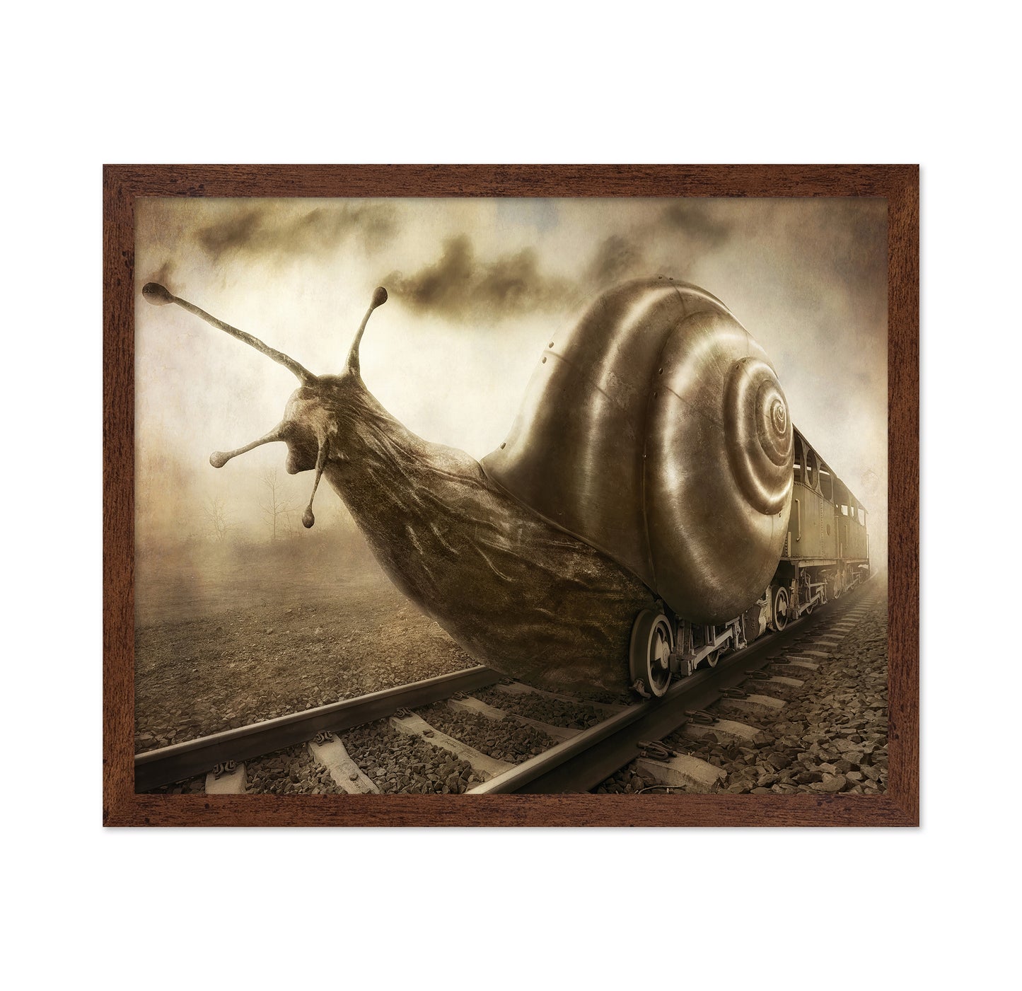 Snail Mail