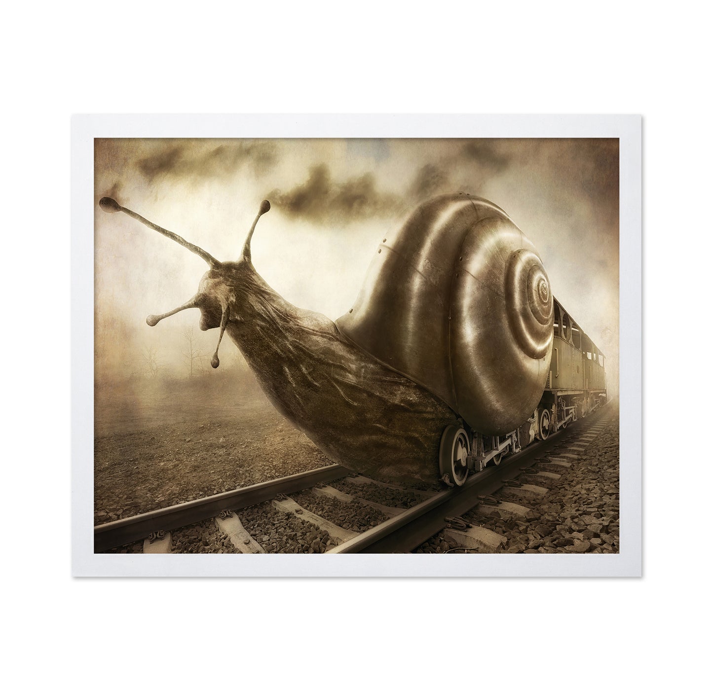 Snail Mail