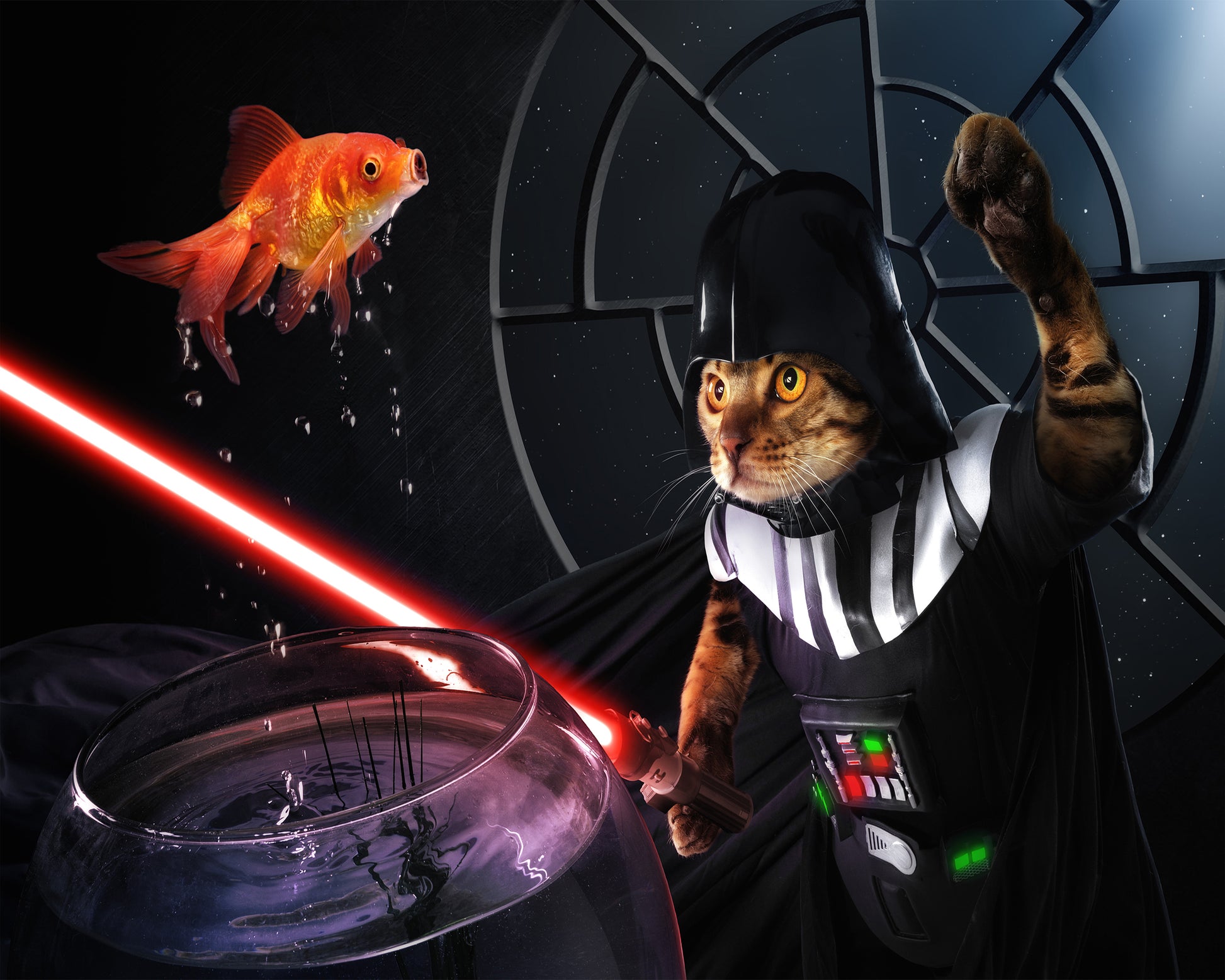 Darth Sushi