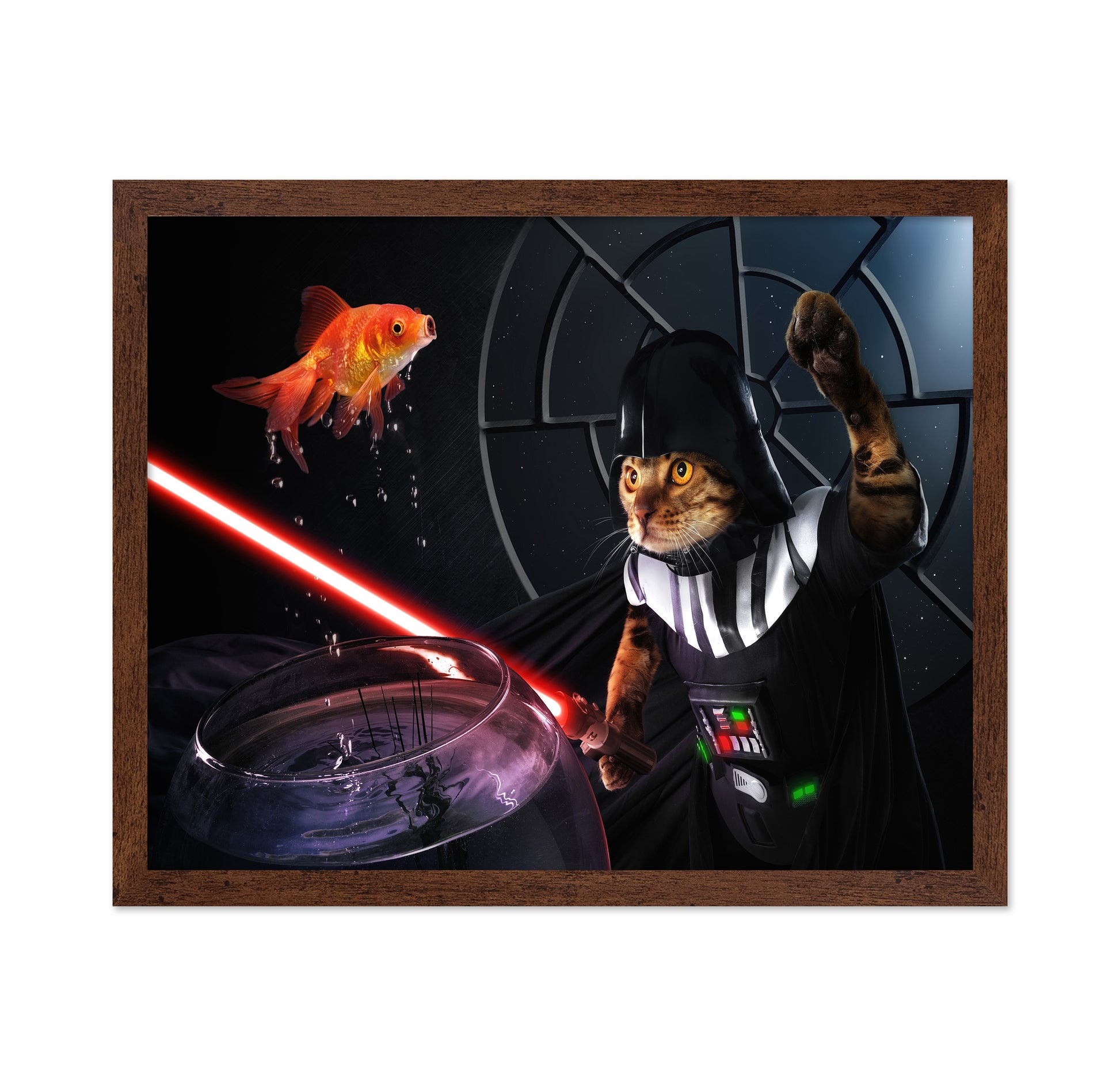 Darth Sushi