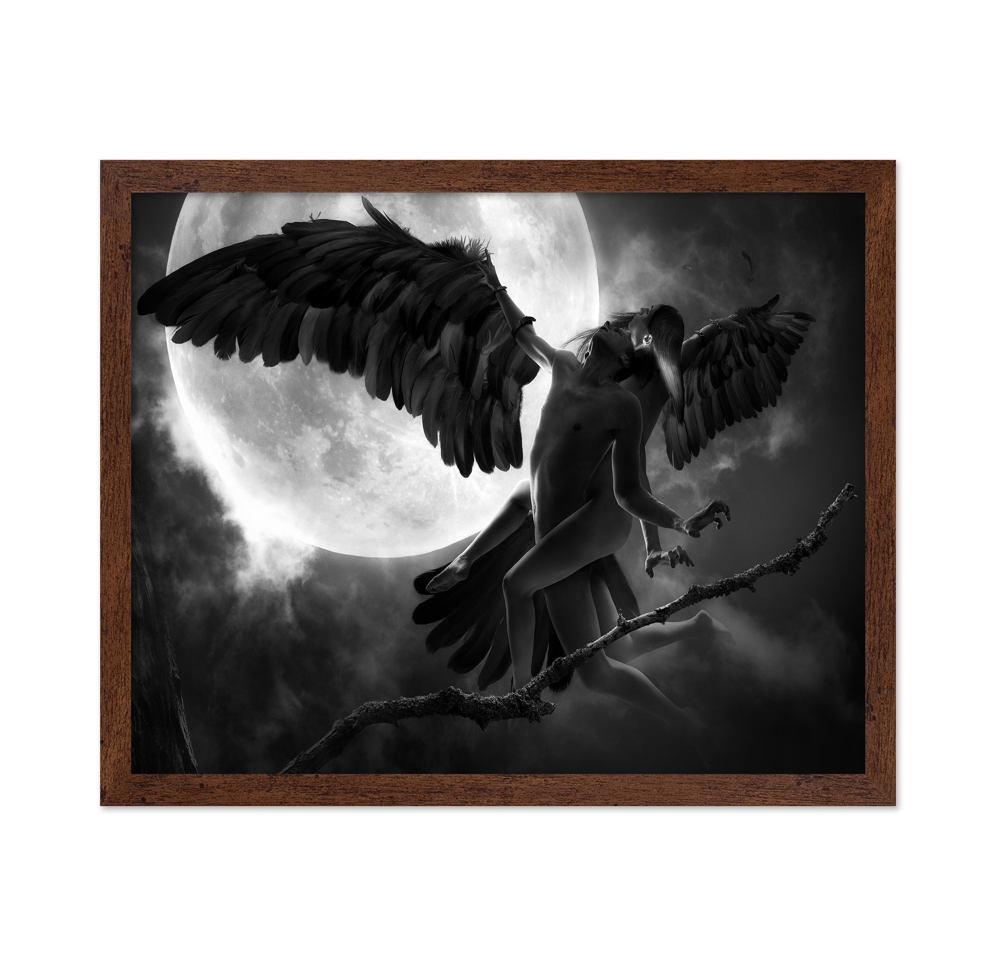 Raven Dance