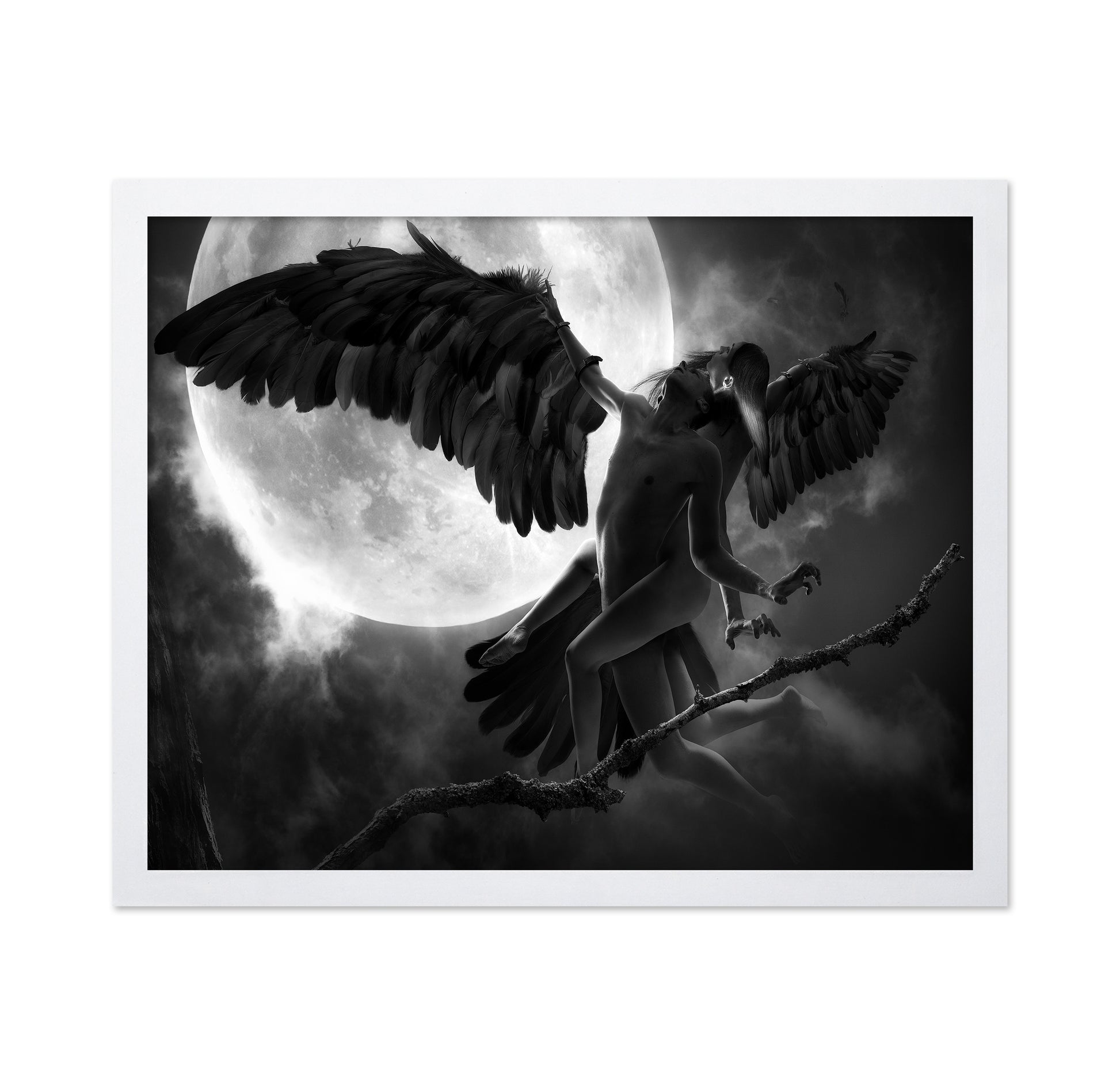Raven Dance