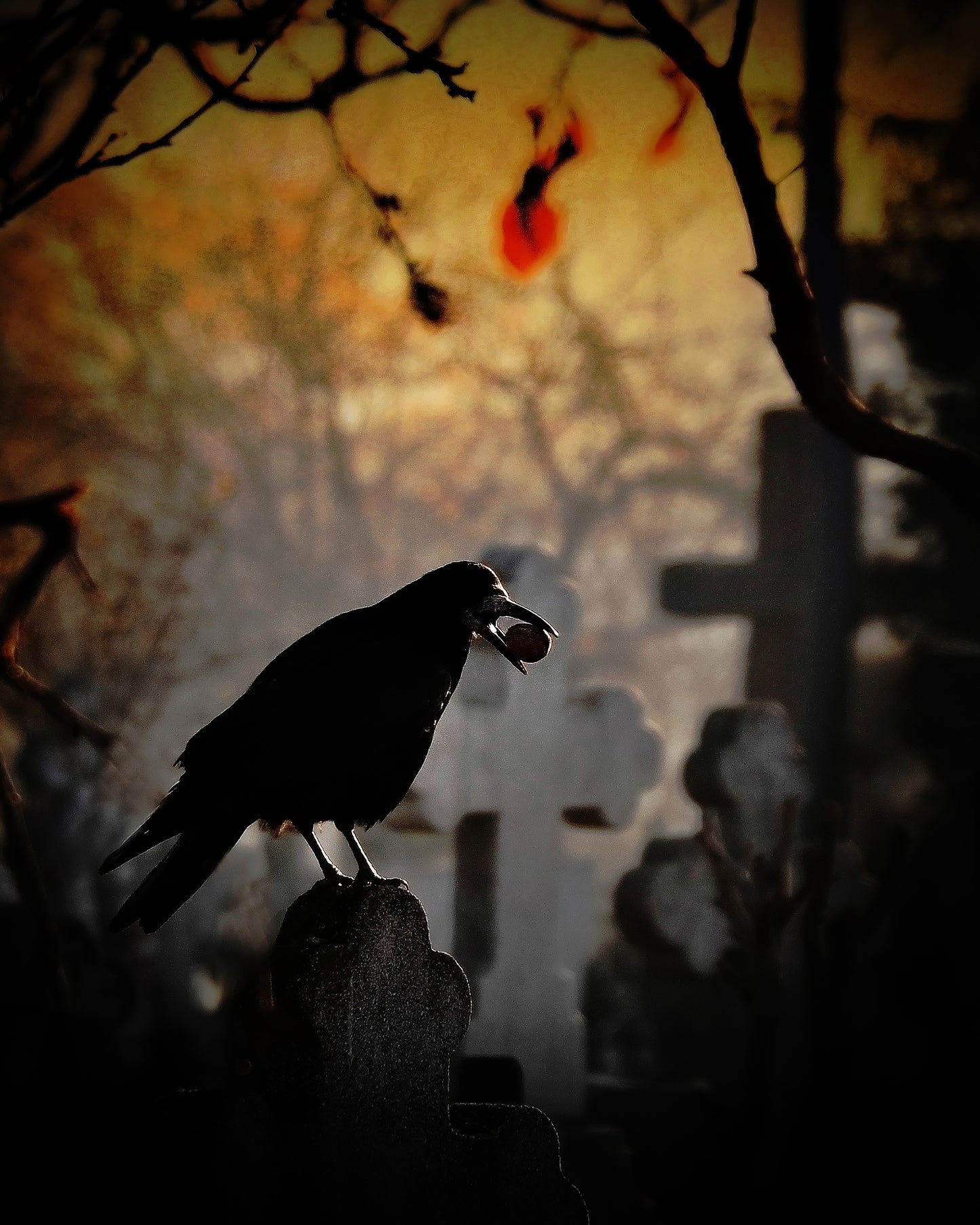 Memento Mori