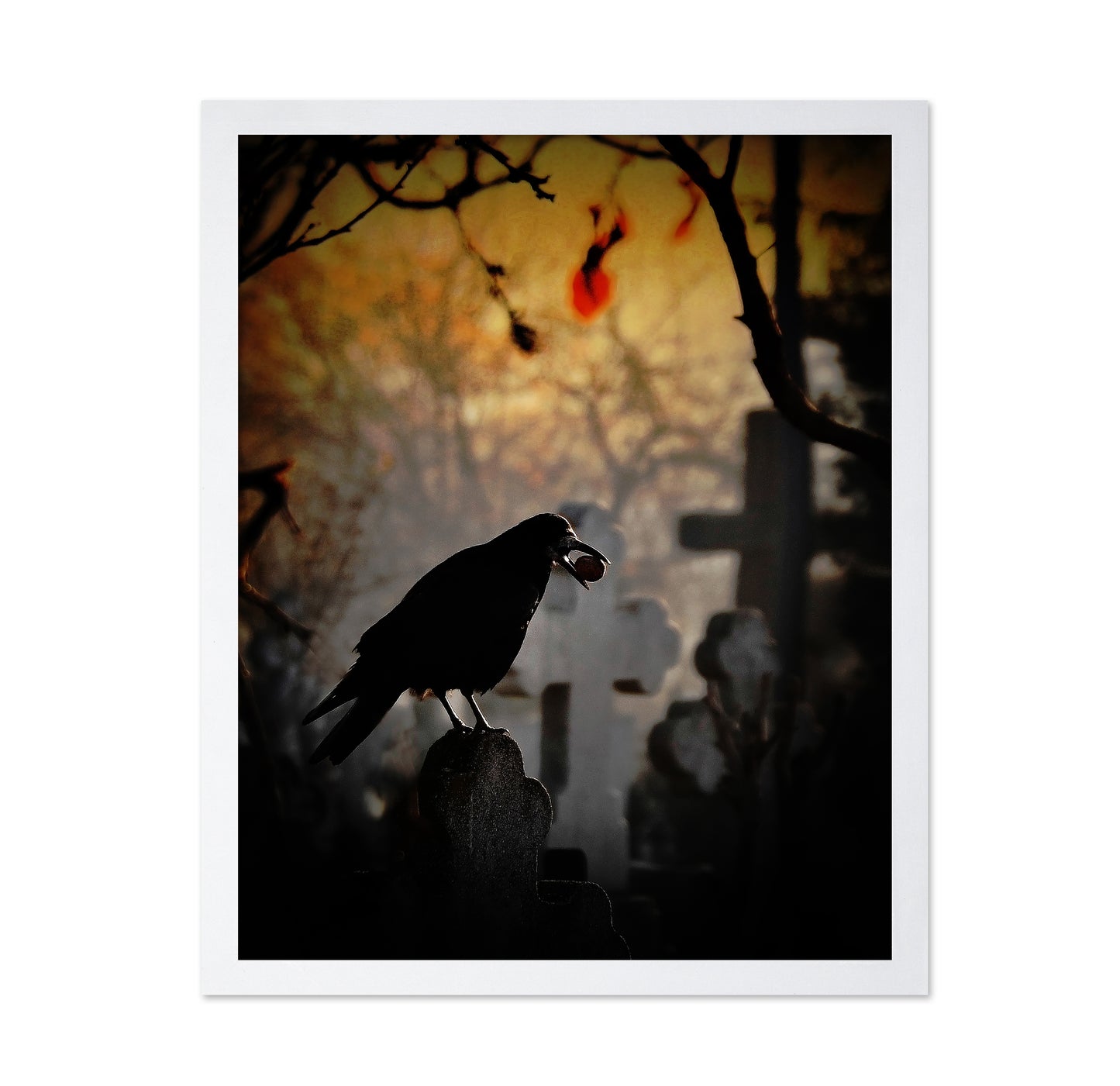 Memento Mori