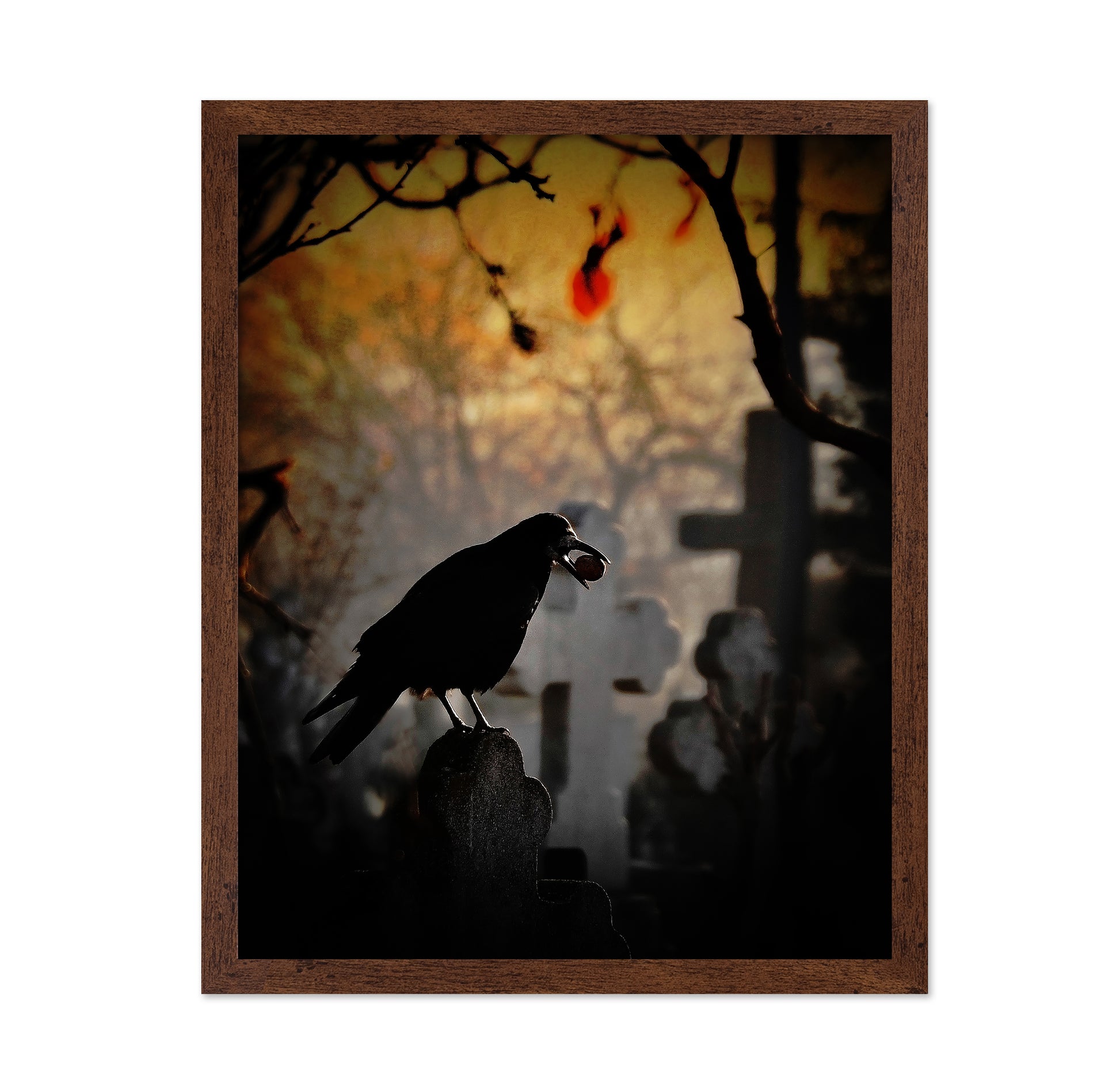 Memento Mori