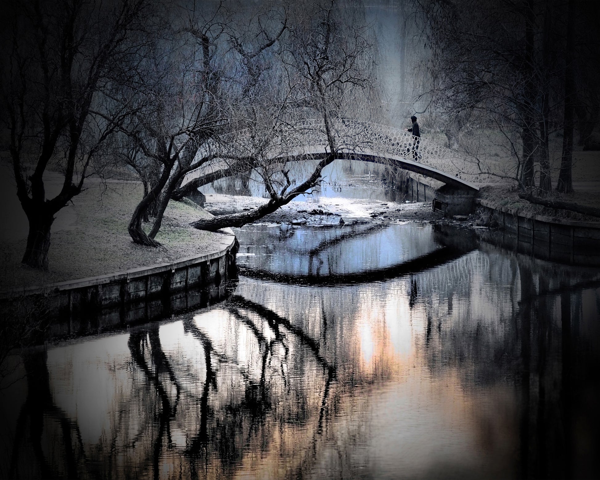 Central Park Winter Bridge