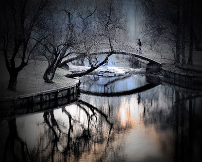 Central Park Winter Bridge