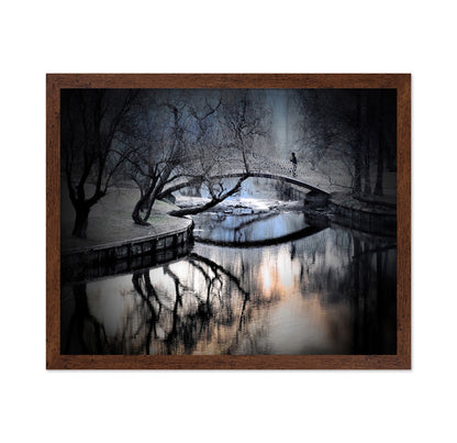 Central Park Winter Bridge