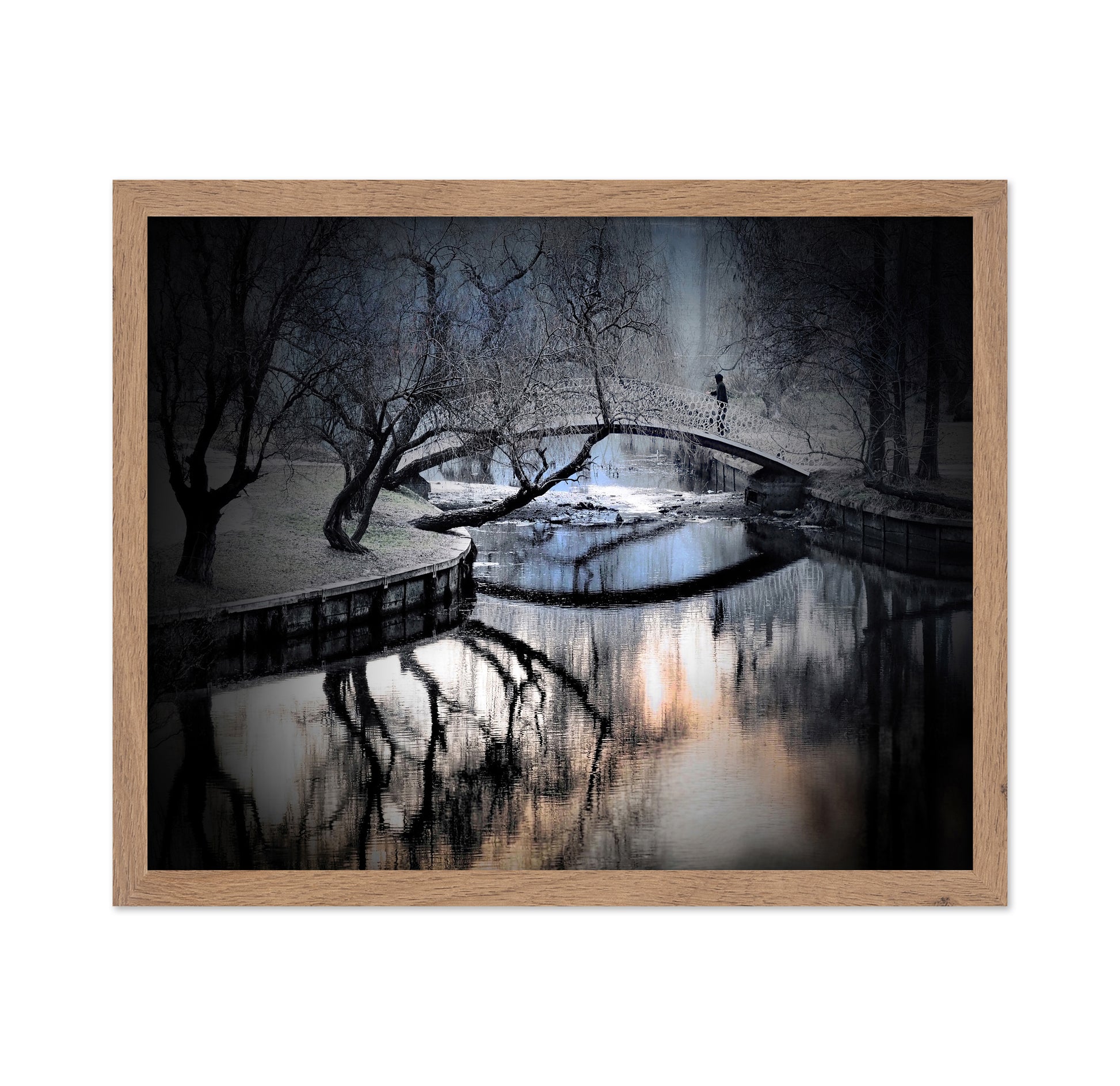 Central Park Winter Bridge