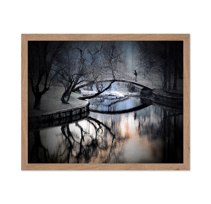 Central Park Winter Bridge
